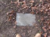 image of grave number 197179